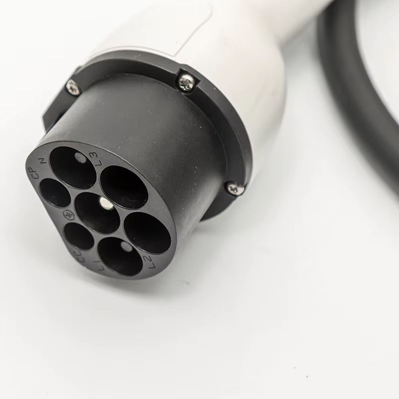 Caricatore per Auto Elettrica  - Fast Ev Charger recensione e prezzo