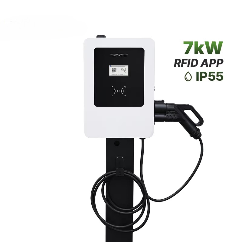 Nuovo Caricatore Rapido DC per - Ev Charger recensione e prezzo